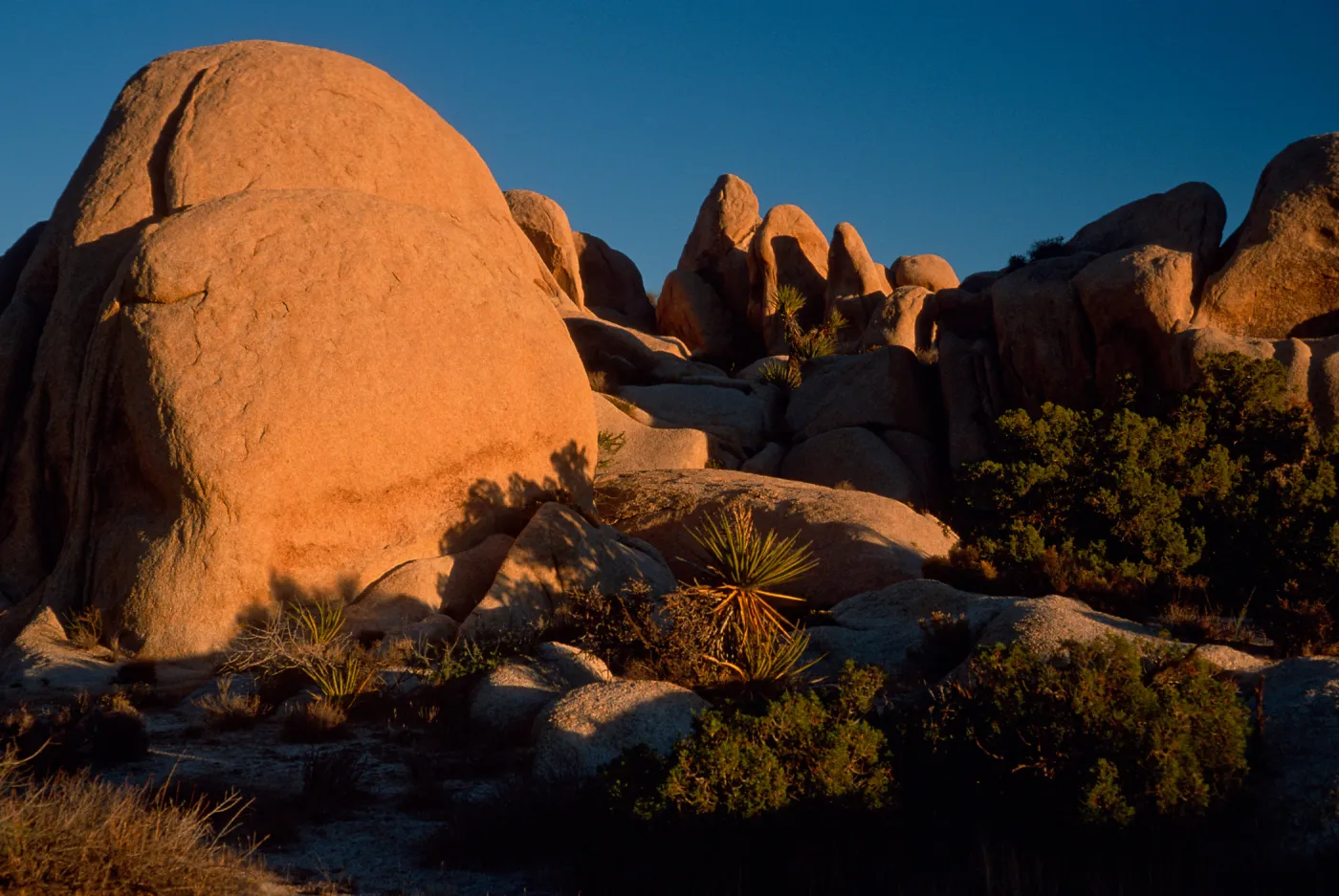 rocks, near Belle Campground, Joshua Tree National Park