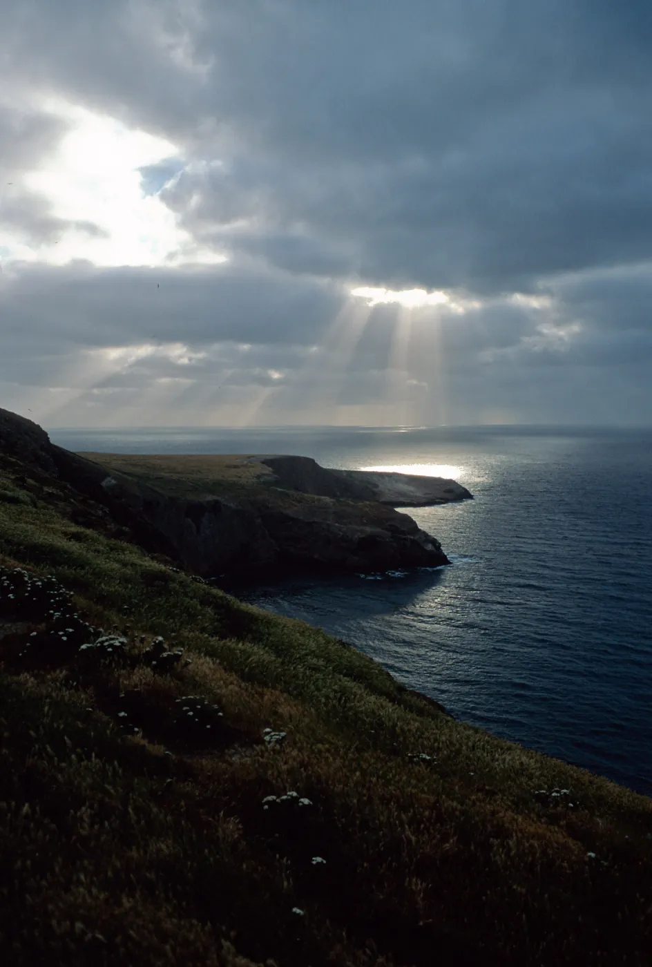 sun over Webster Point, Santa Barbara Island