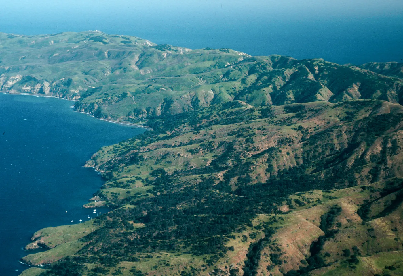 Pelican Bay to Prisoners Harbor, Santa Cruz Island