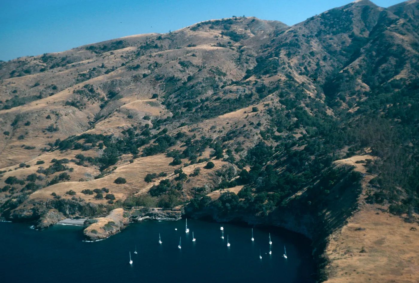 Pelican Bay, Santa Cruz Island