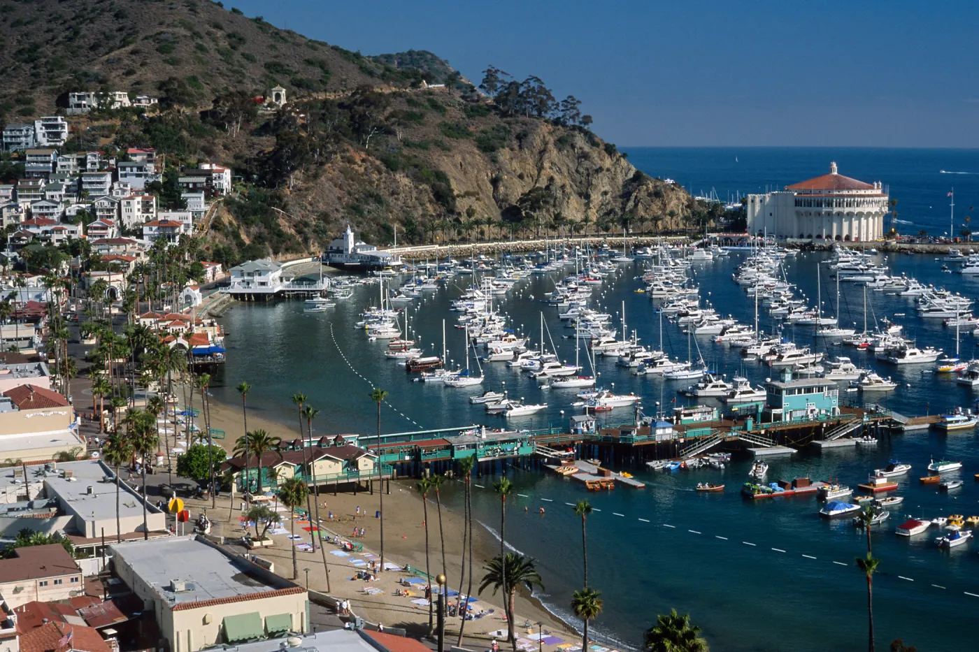Avalon Harbor, Catalina Island