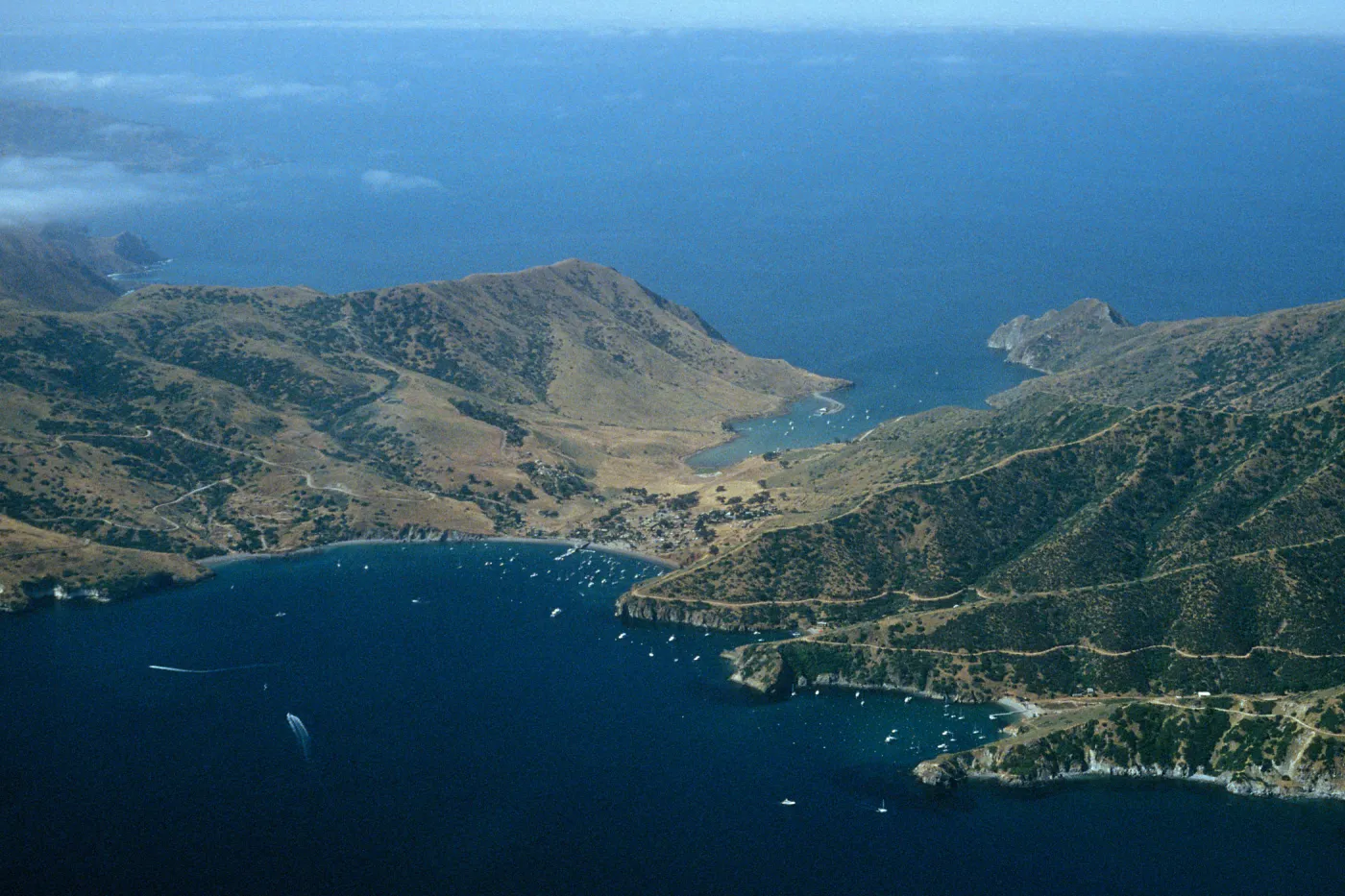 Isthmus Cove, Catalina Island