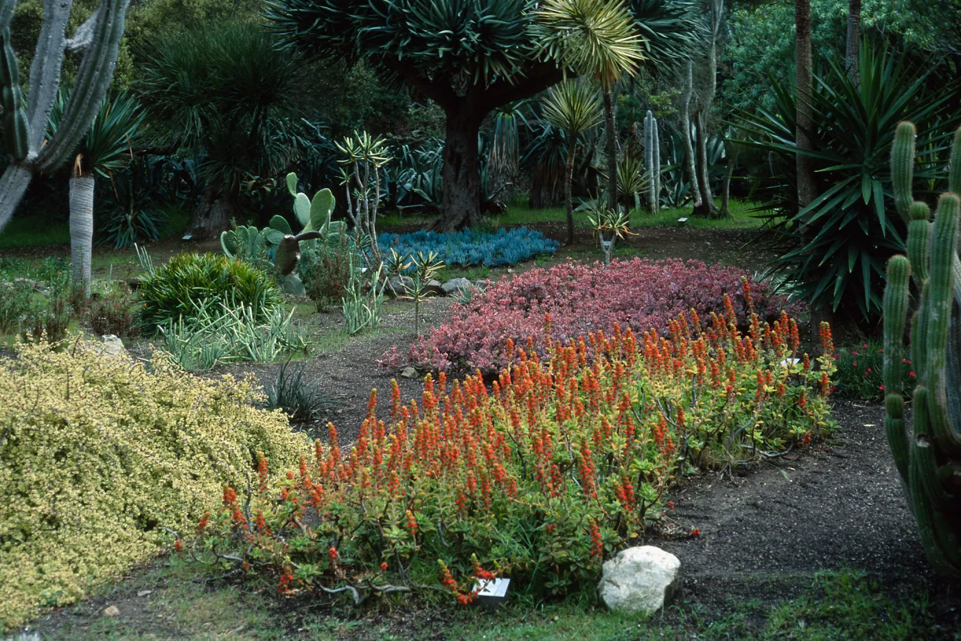 Wrigley Memorial Garden, Avalon Canyon, Catalina Island