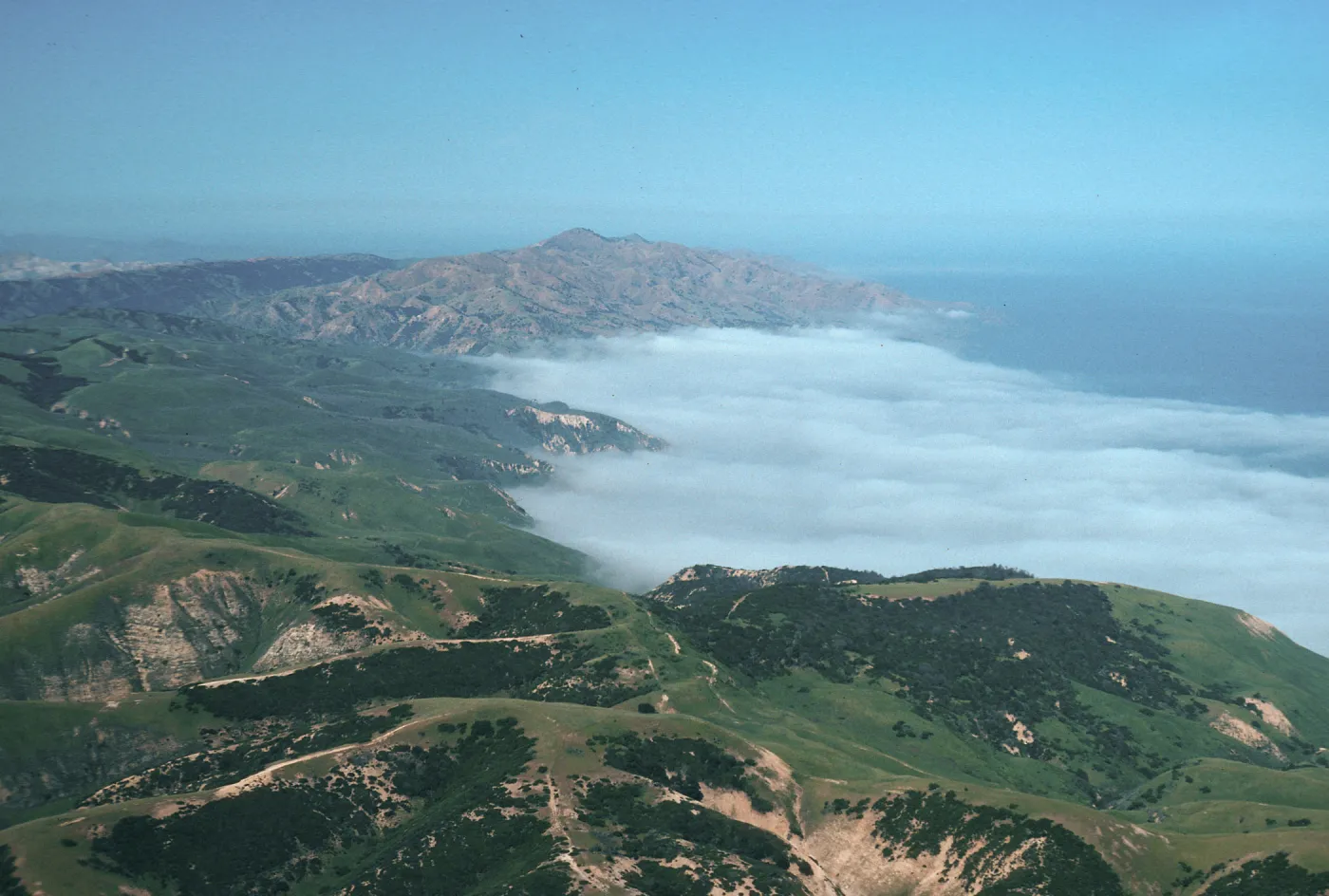 fog at China Harbor, Santa Cruz Island