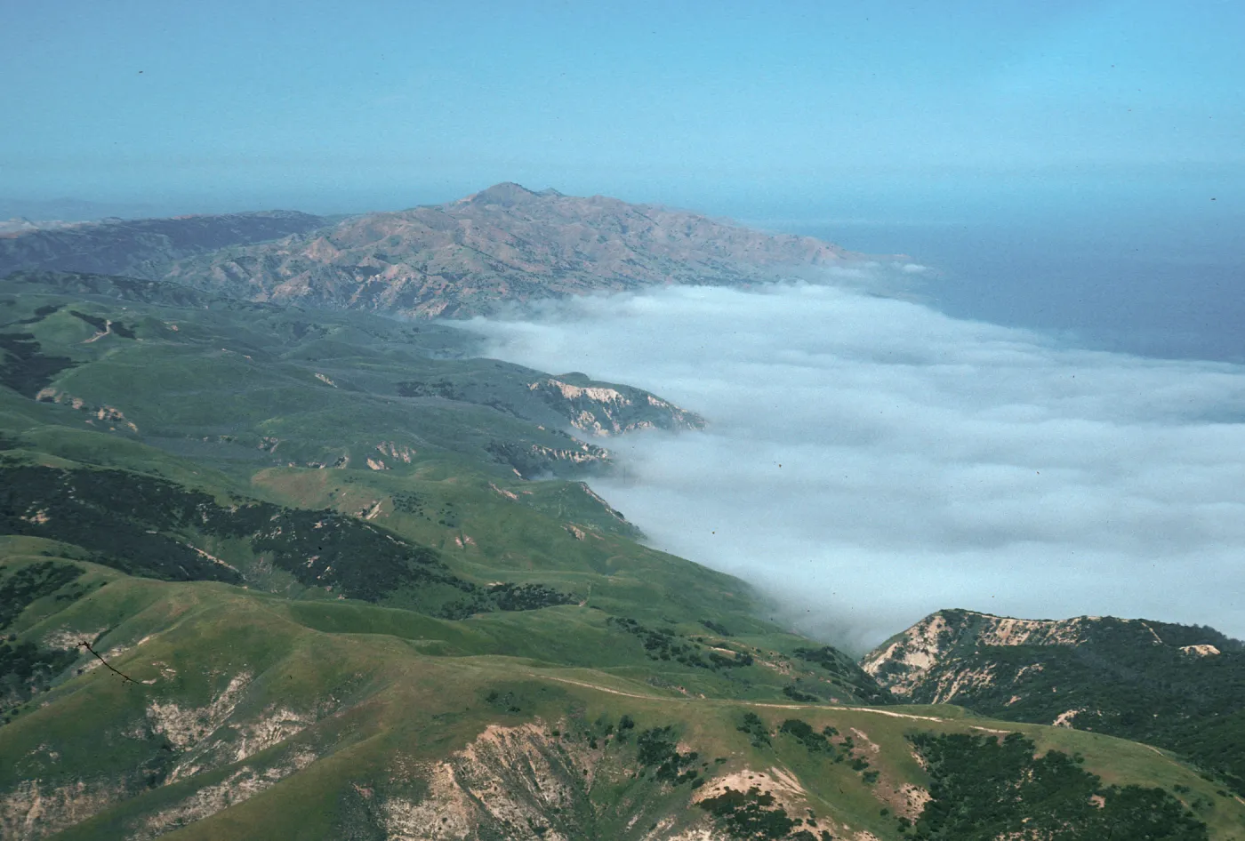 fog at China Harbor, Santa Cruz Island