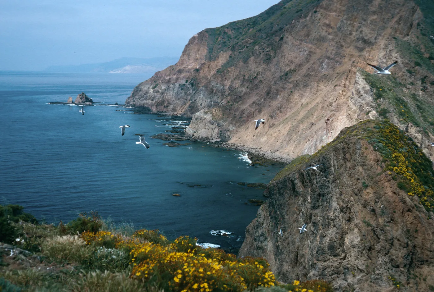 view of South side & Cat Rock, Middle Anacapa Island
