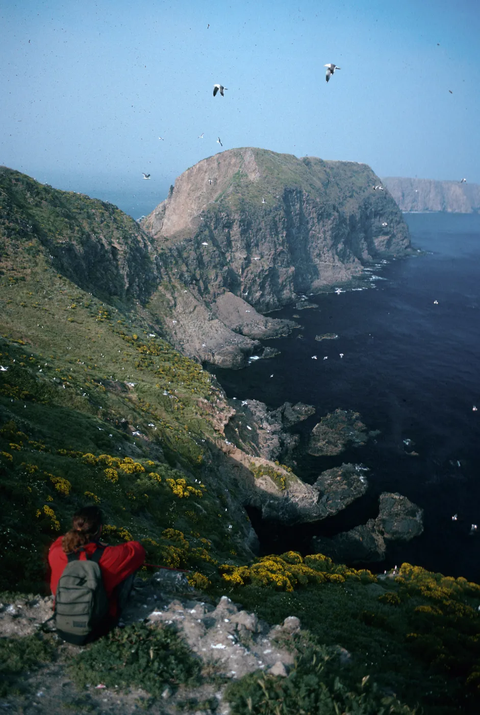 David Rosen, overlooking East Fish Camp, Middle Anacapa Island