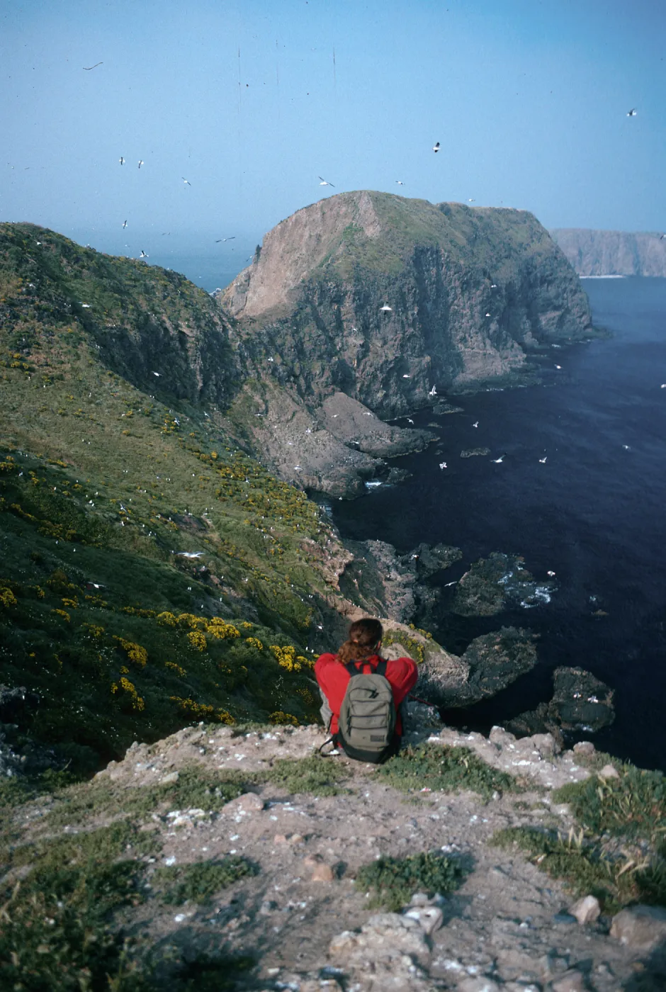 David Rosen, overlooking East Fish Camp, Middle Anacapa Island