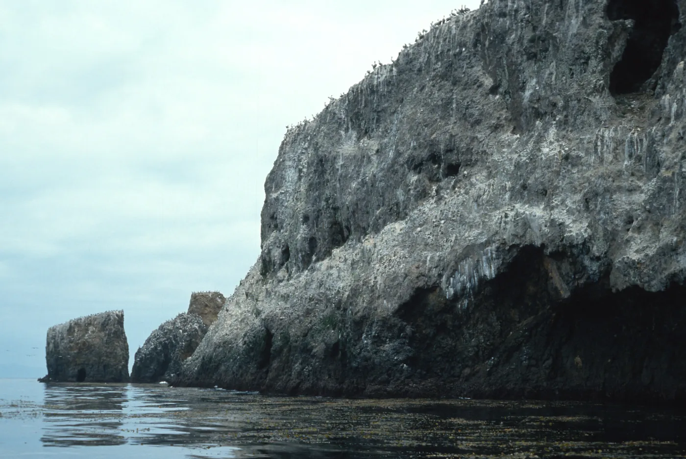Landing Cove, East Anacapa Island