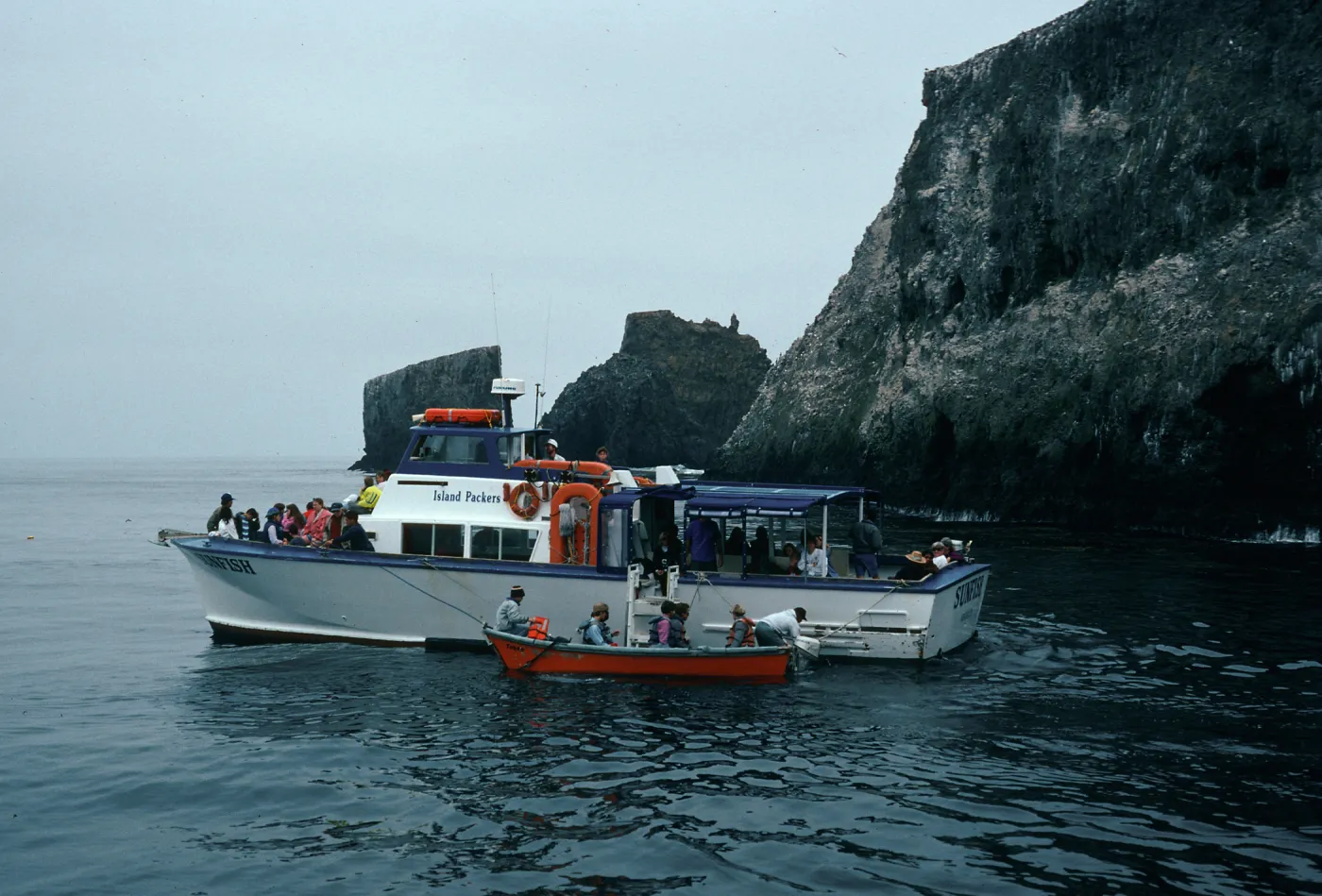 Sunfish, East Anacapa Island
