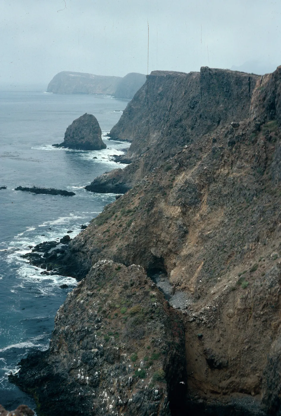 offshore slopes, East tip of island, East Anacapa Island