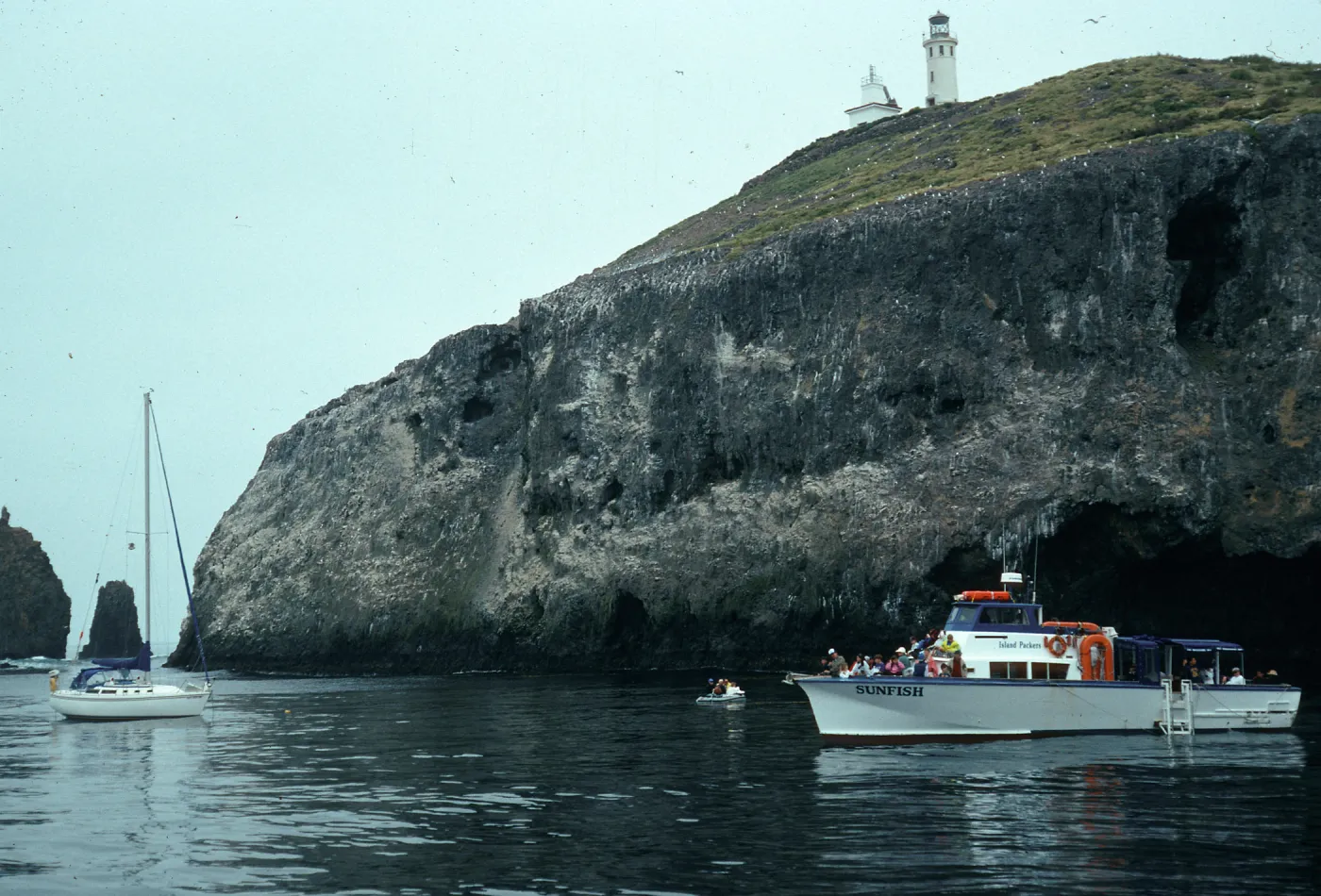 Sunfish, East end, East Anacapa Island