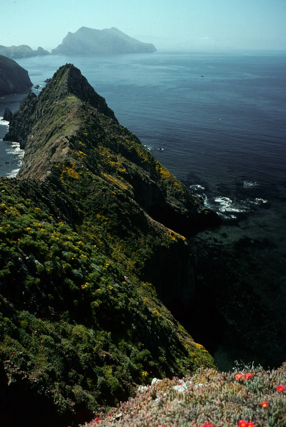 West end of East Anacapa Island, East Anacapa Island