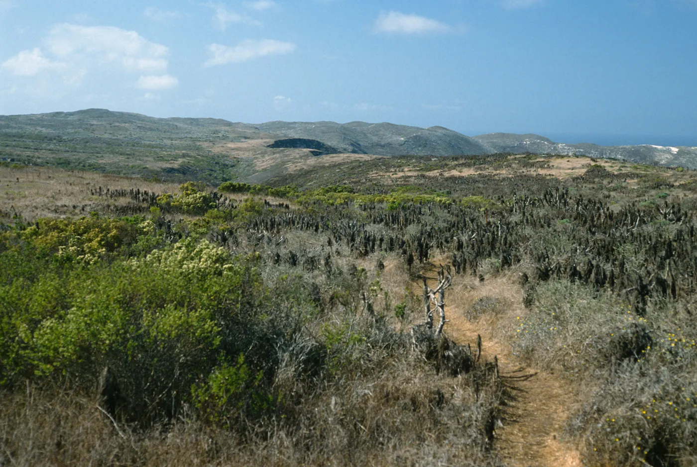trail to Harbor Point Peninsula, San Miguel Island