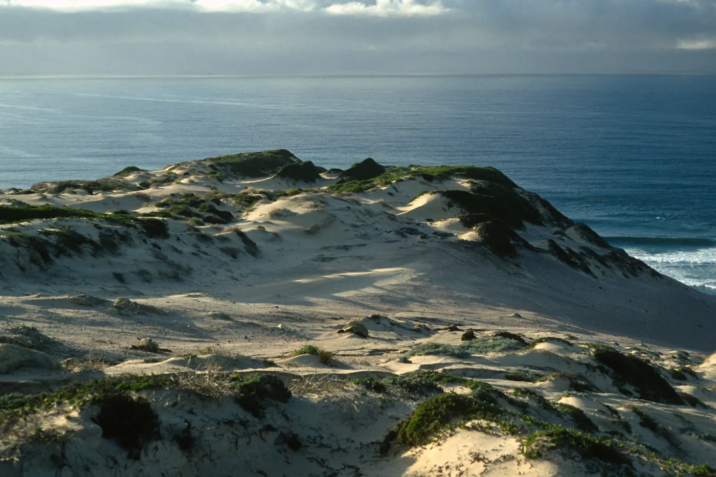 dunes, Simonton Cove, San Miguel Island