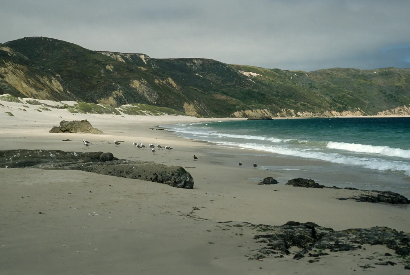 Cuyler Harbor, San Miguel Island