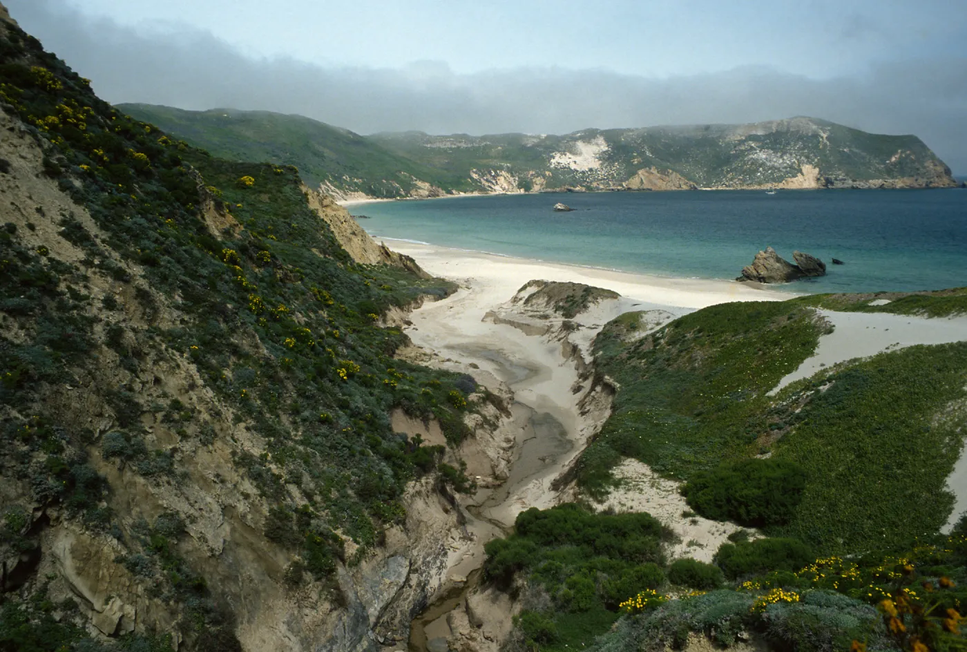 Cuyler Harbor from mouth of Cañada Del Mar, San Miguel Island