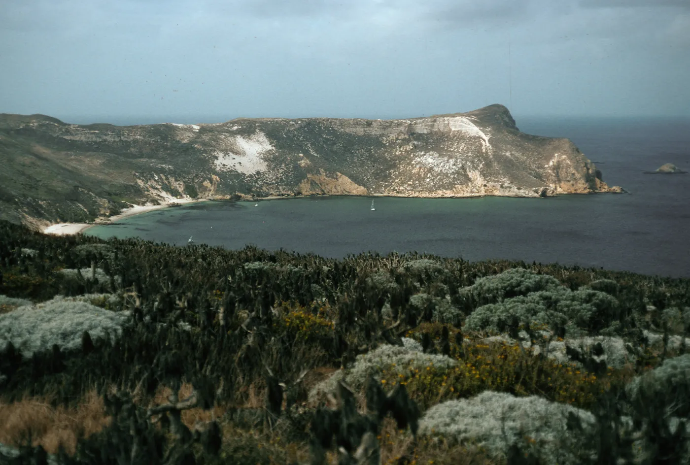 Cuyler Harbor, from West of Cañada Del Mar, San Miguel Island