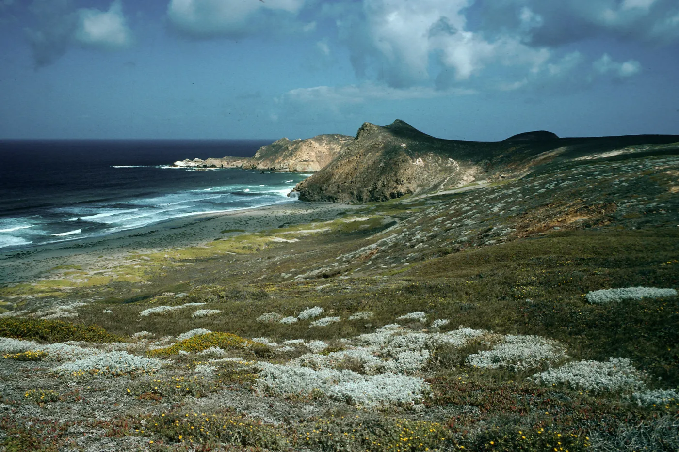 view of Harris Point & Lester Point, San Miguel Island