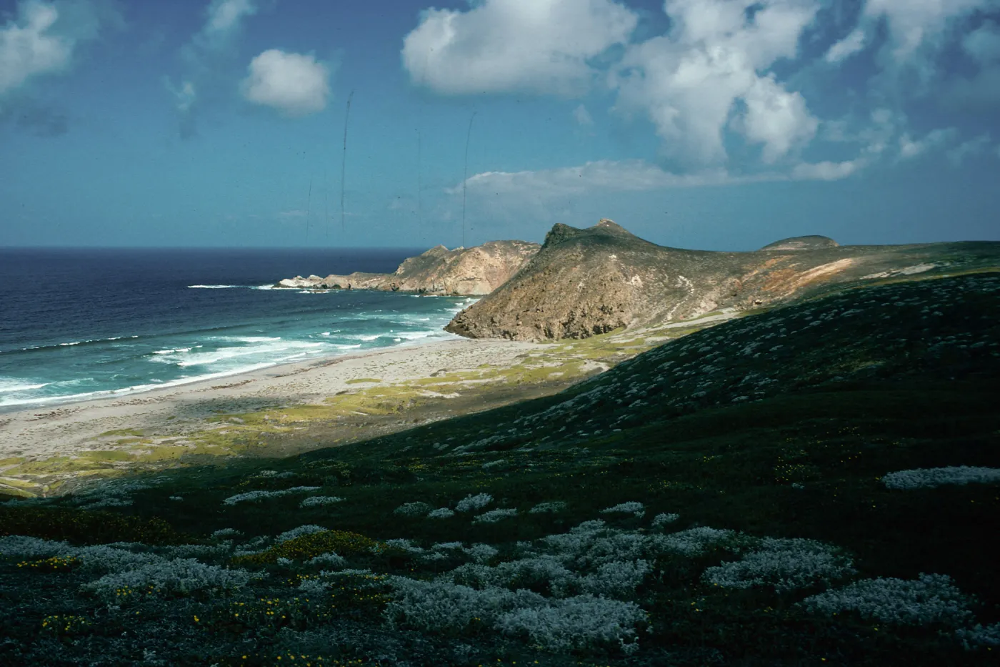 view of Harris Point & Lester Point, San Miguel Island