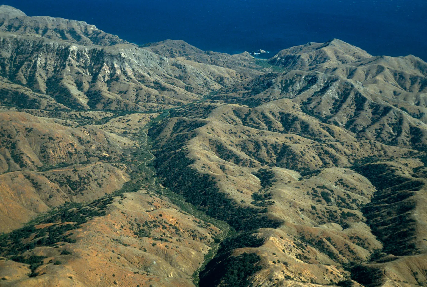 Willows Canyon, Santa Cruz Island