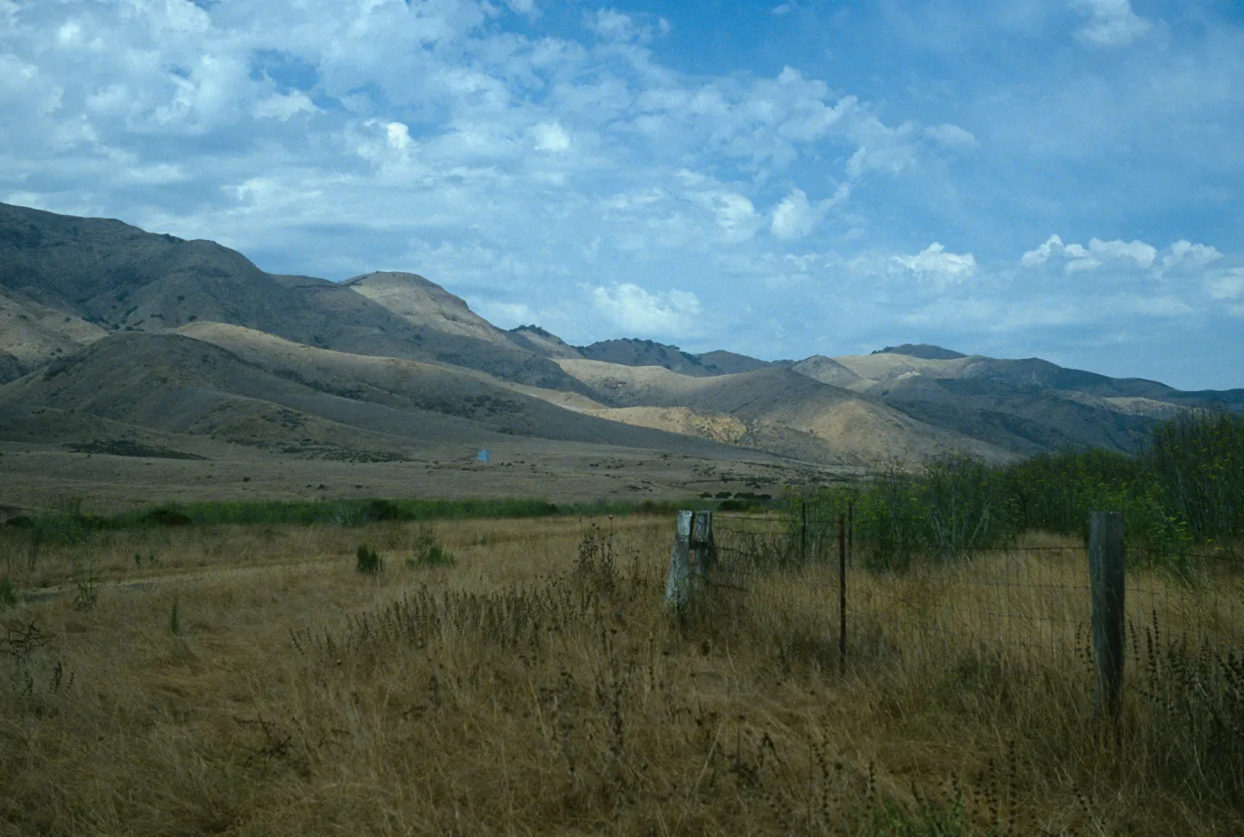 view from Christy airstrip, Santa Cruz Island