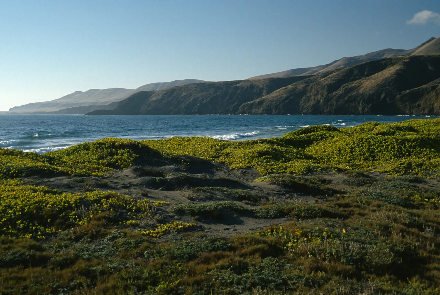 Christy Beach, Santa Cruz Island