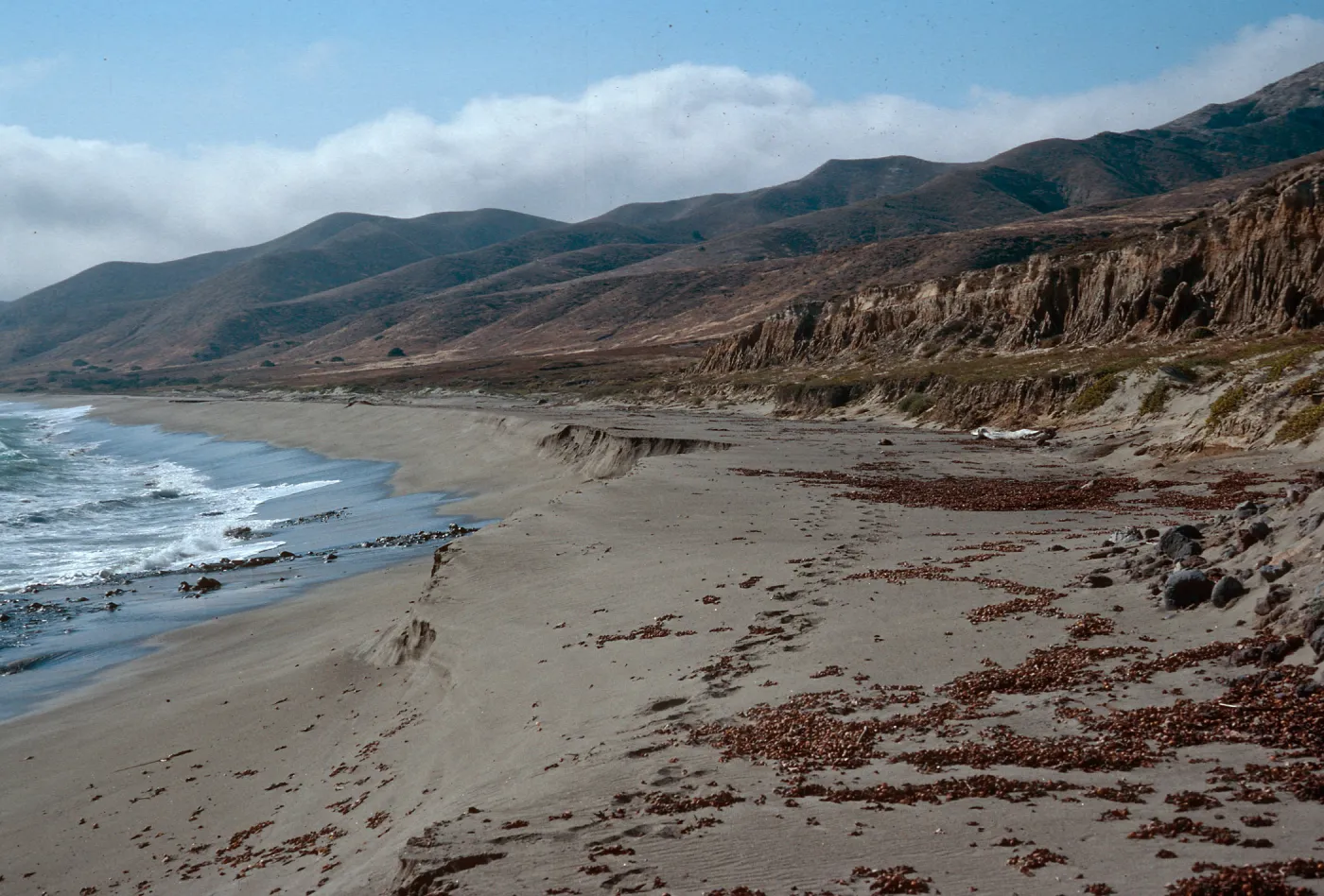 Playa Larga, just West of Punta Arena, Santa Cruz Island