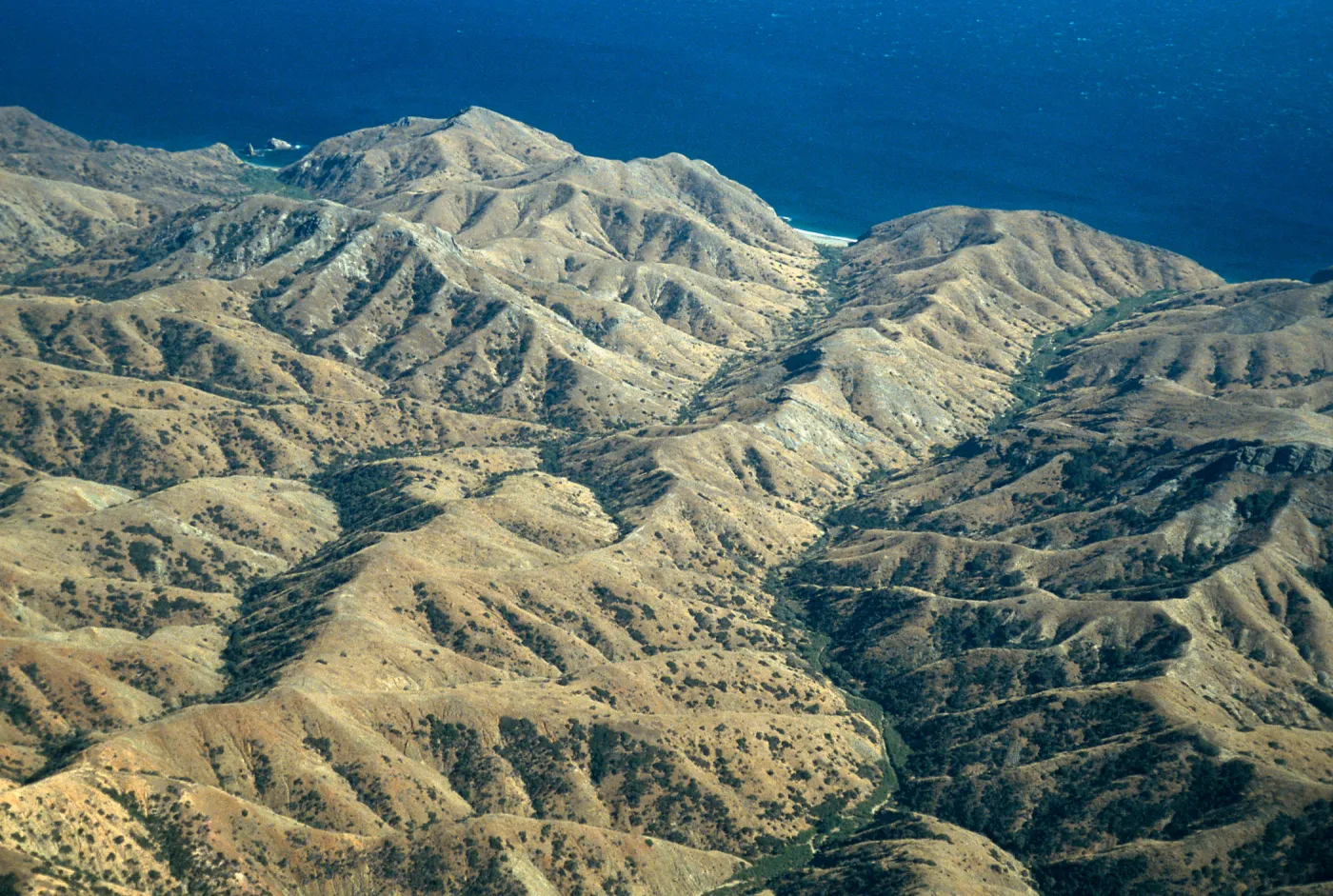 Horqueta & Alamos Canyons, Santa Cruz Island