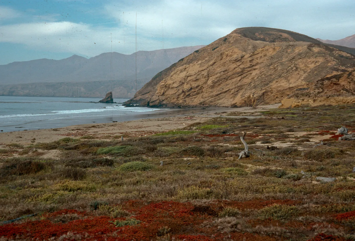 Sauces Beach, Santa Cruz Island