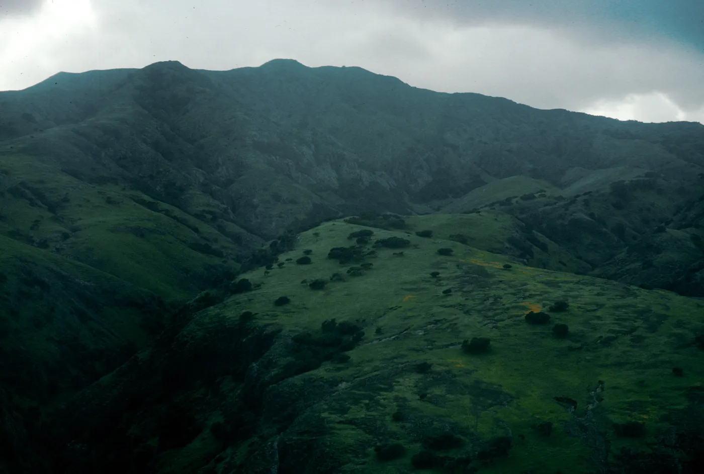 Smugglers Canyon, Santa Cruz Island