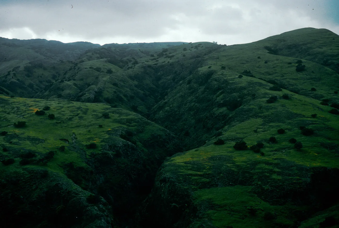 East End Canyon, above Smugglers Ranch, Santa Cruz Island