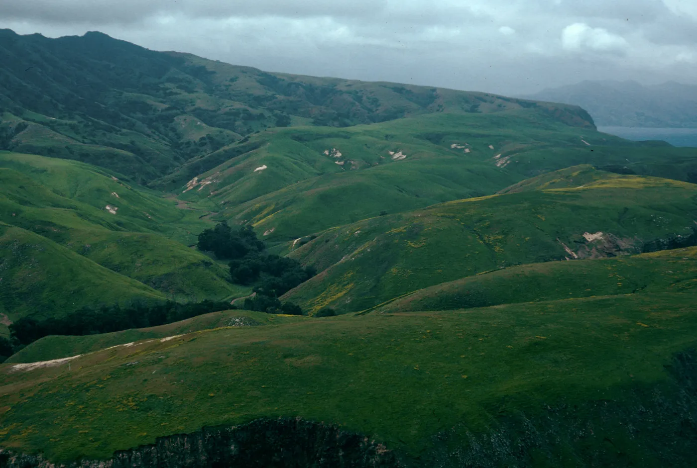 Scorpion Canyon, Santa Cruz Island
