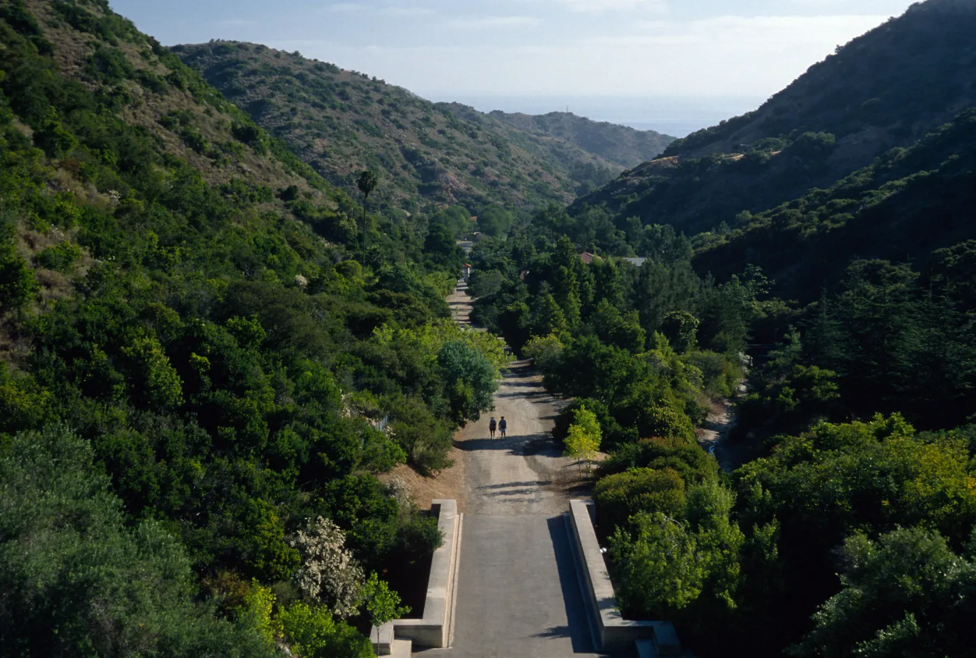 Wrigley Memorial Garden, Avalon Canyon, Catalina Island