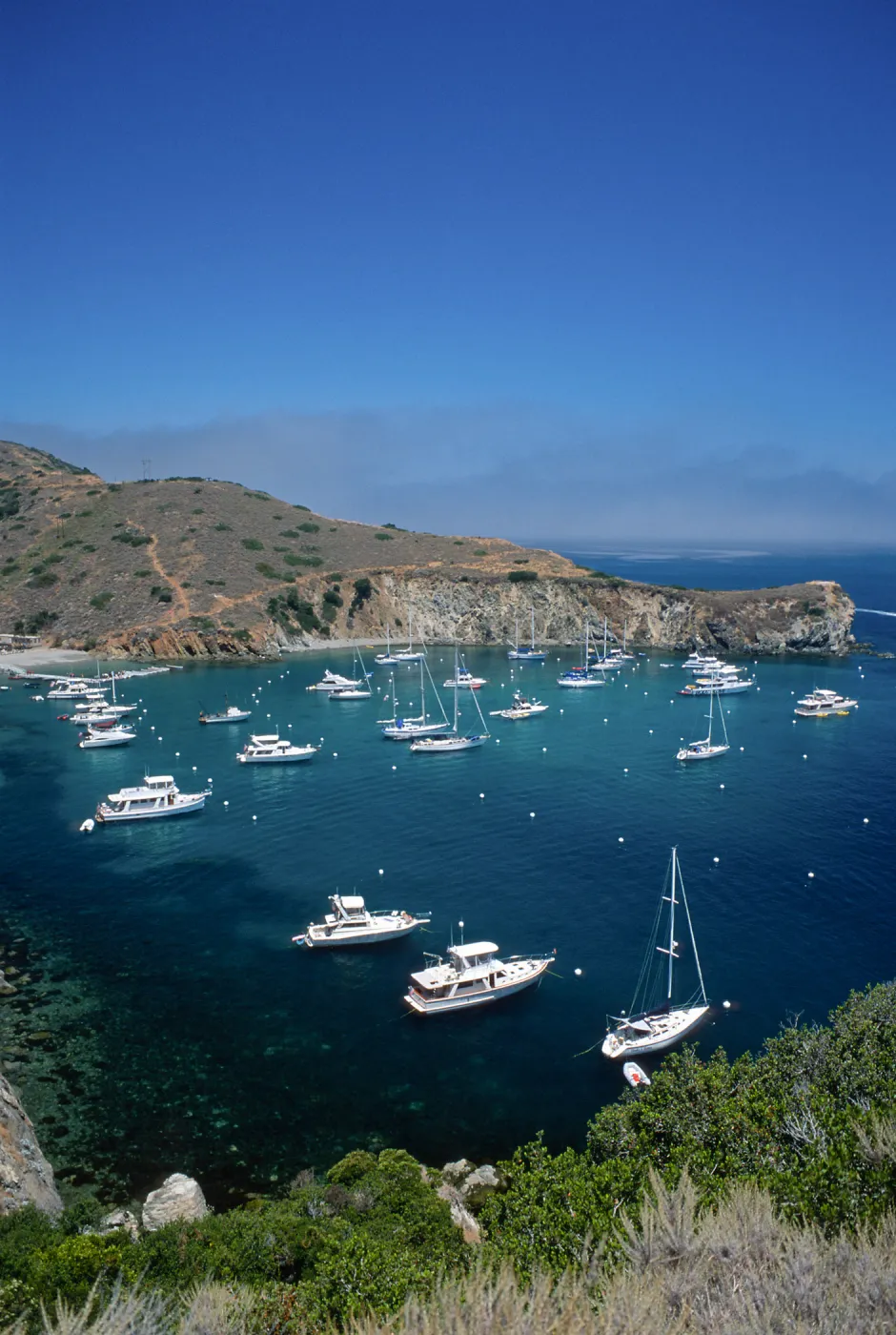Cherry Cove, Catalina Island