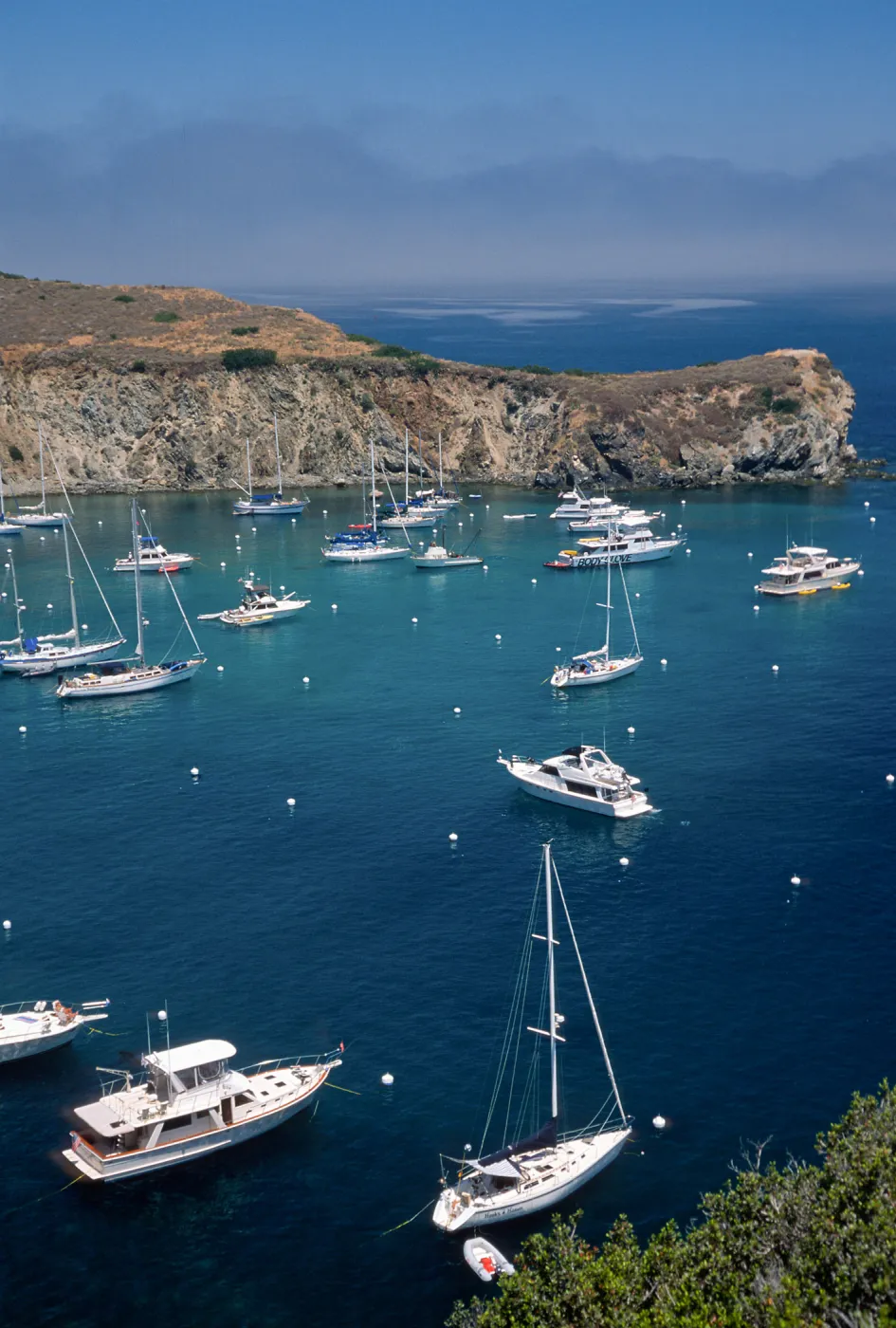 Cherry Cove, Catalina Island