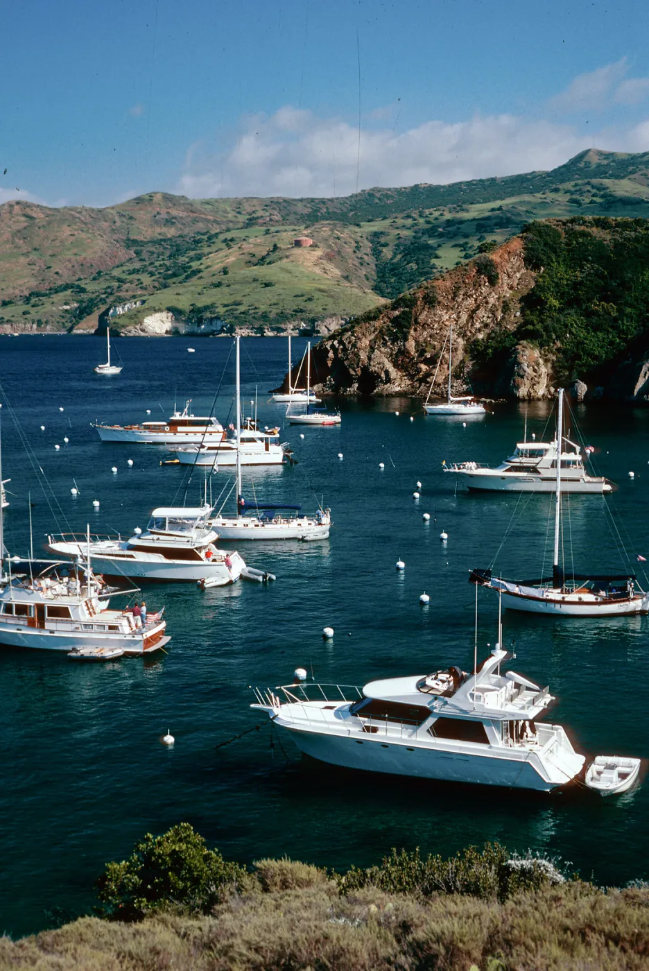 Cherry Cove, Catalina Island
