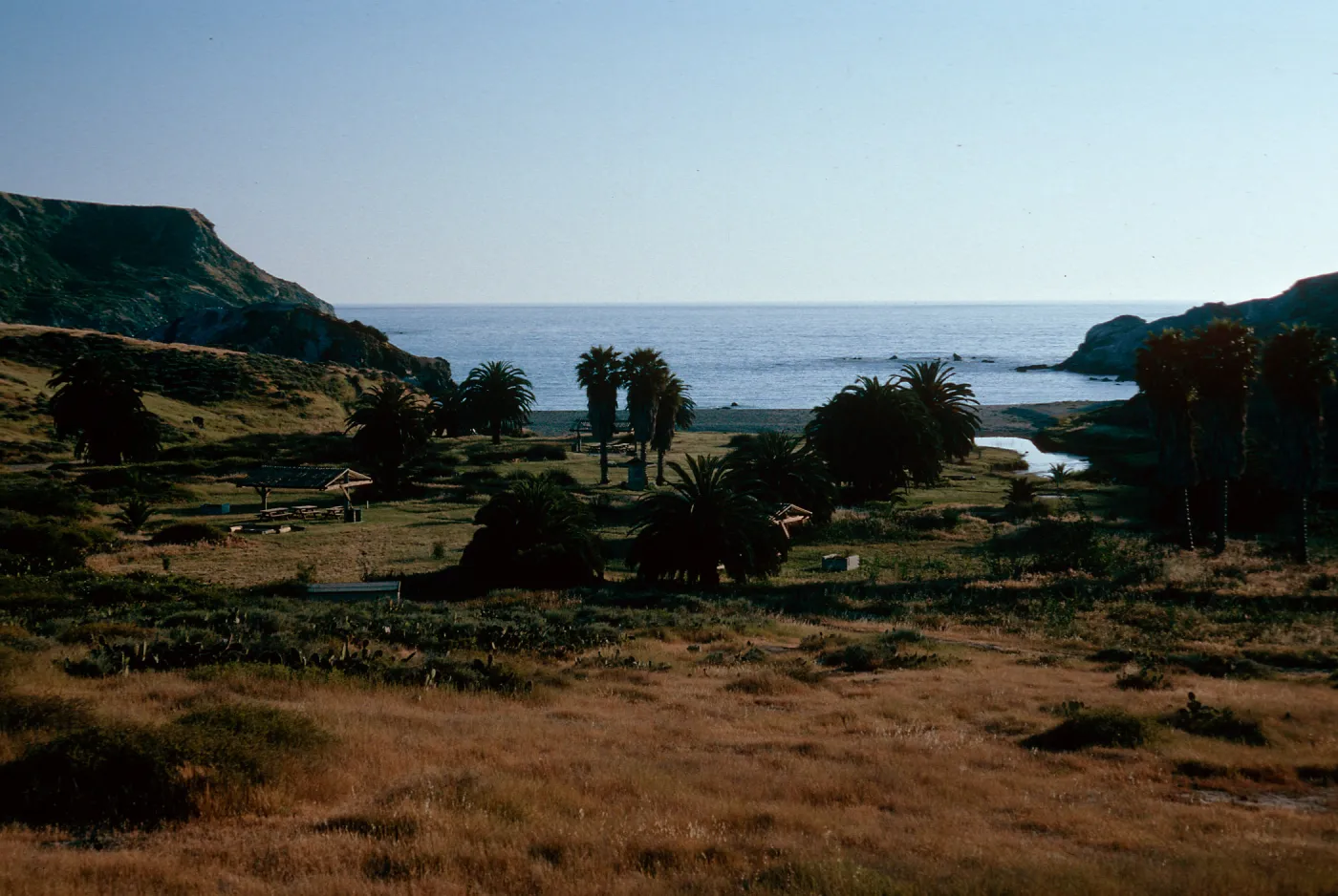 Little Harbor campground, Catalina Island
