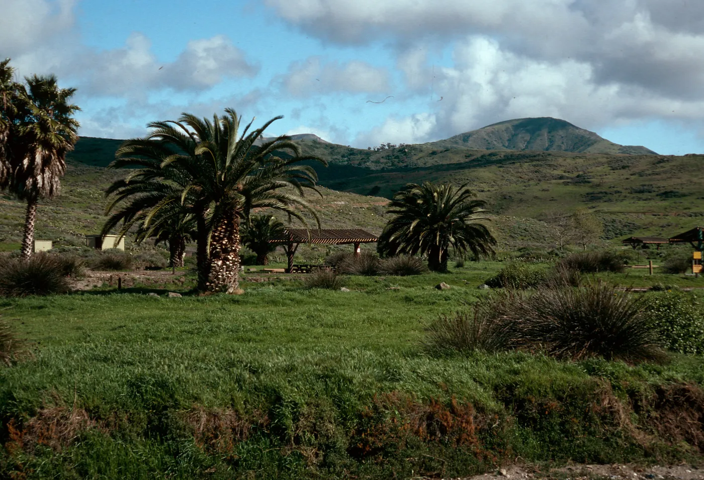 campground, Little Harbor, Catalina Island