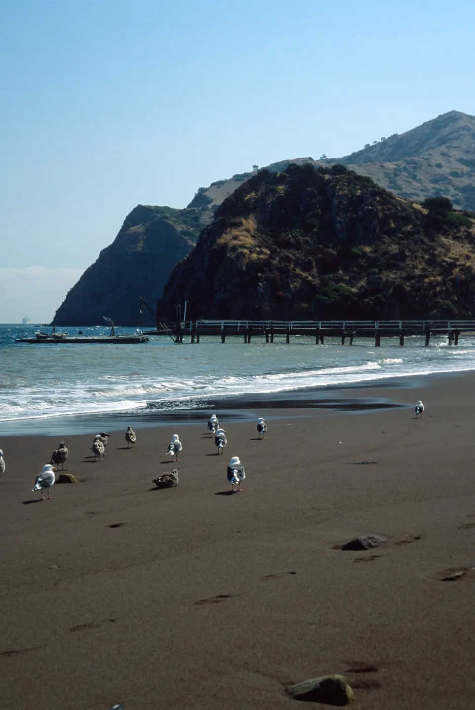 Whites Landing, Catalina Island
