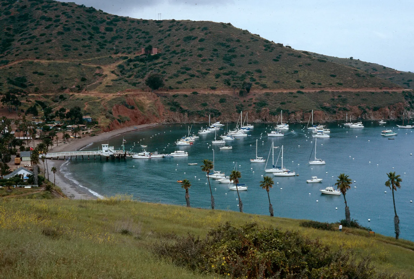 Isthmus Harbor, Catalina Island