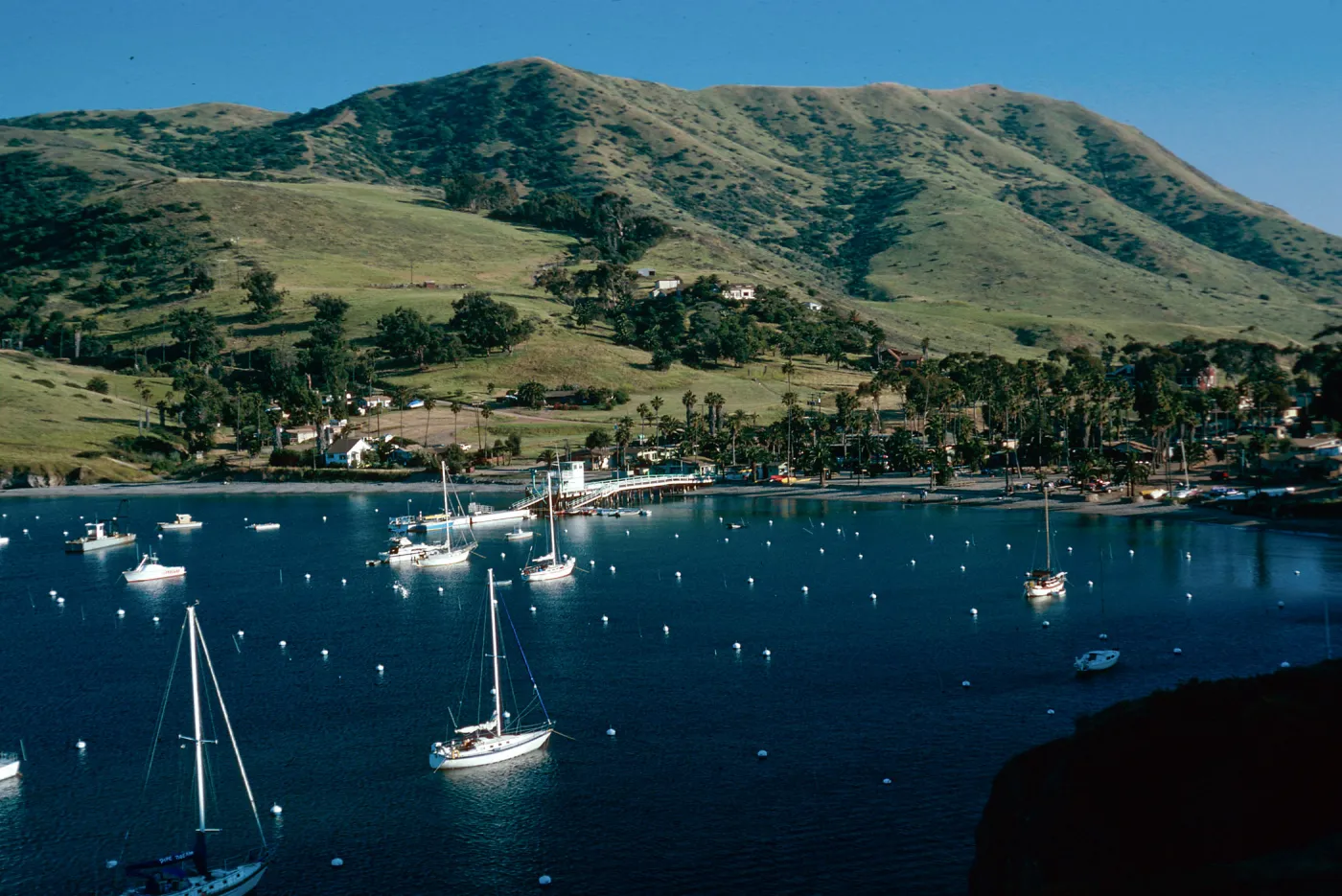 Isthmus Cove, Catalina Island