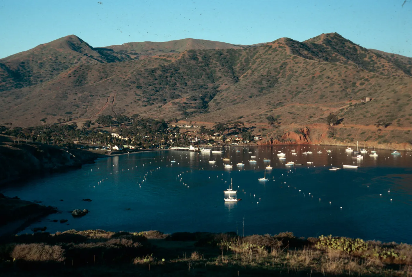 Isthmus Cove, Catalina Island
