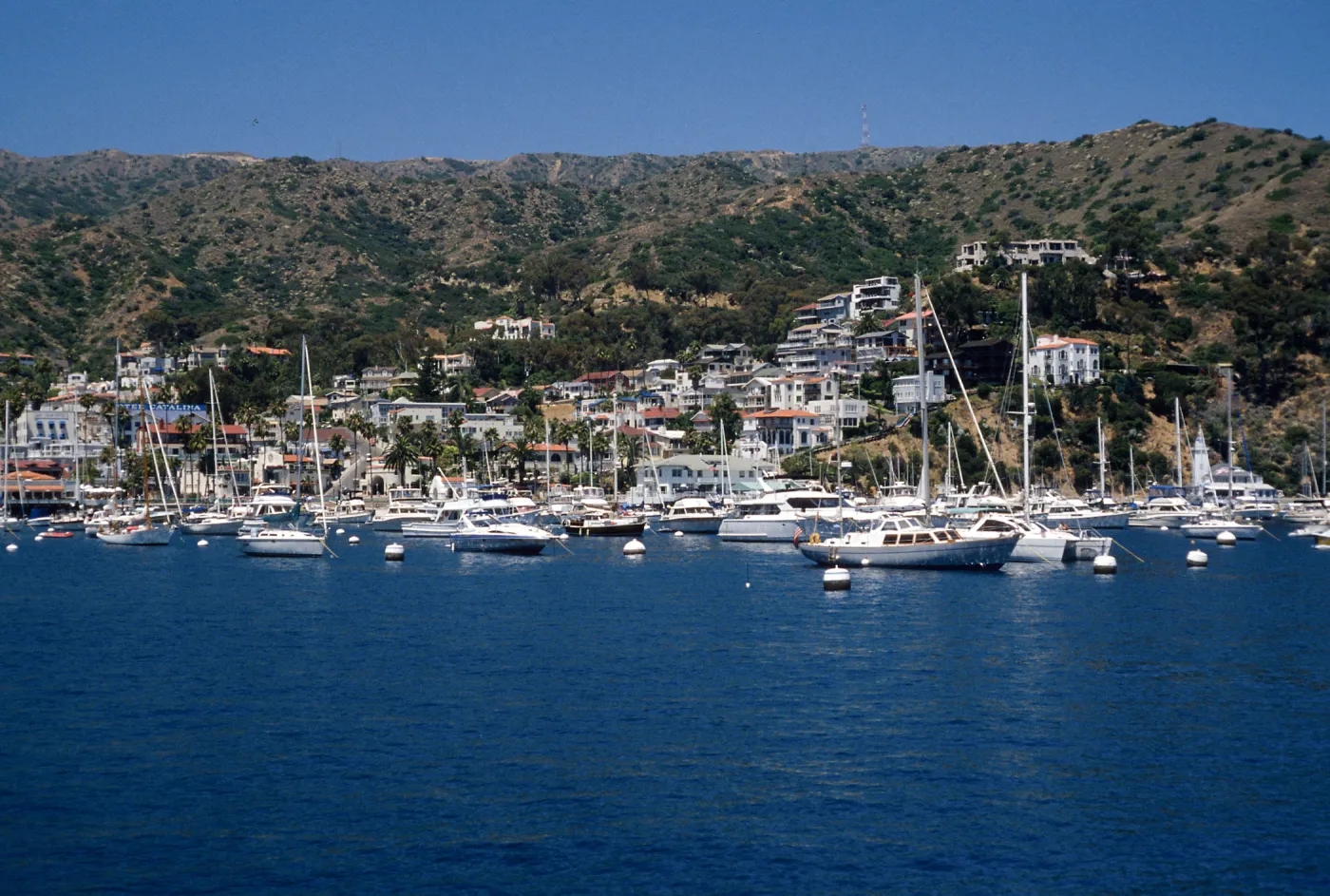 Avalon, Catalina Island