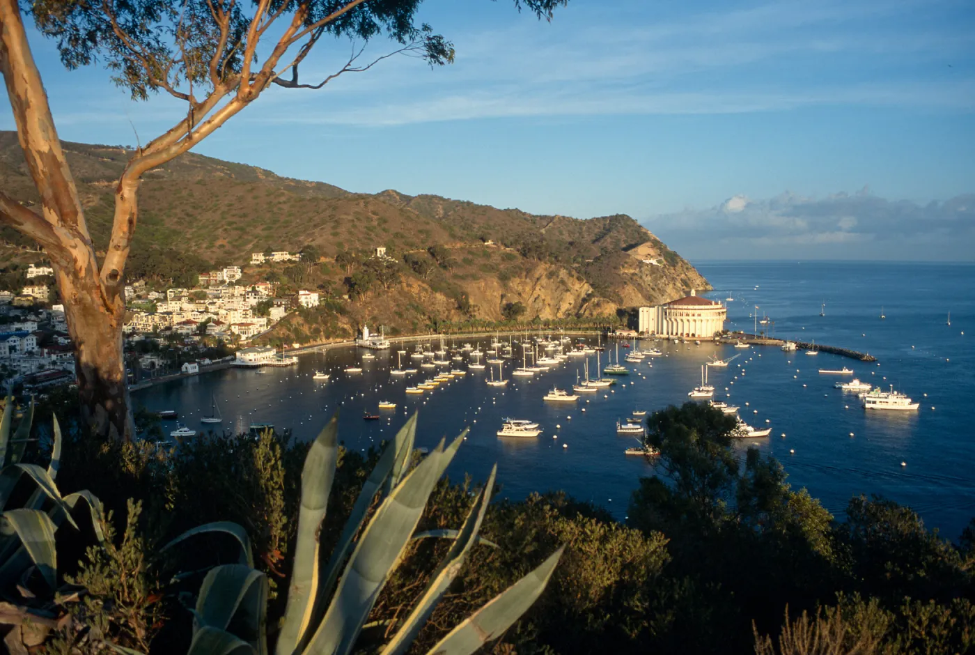 Avalon, Catalina Island
