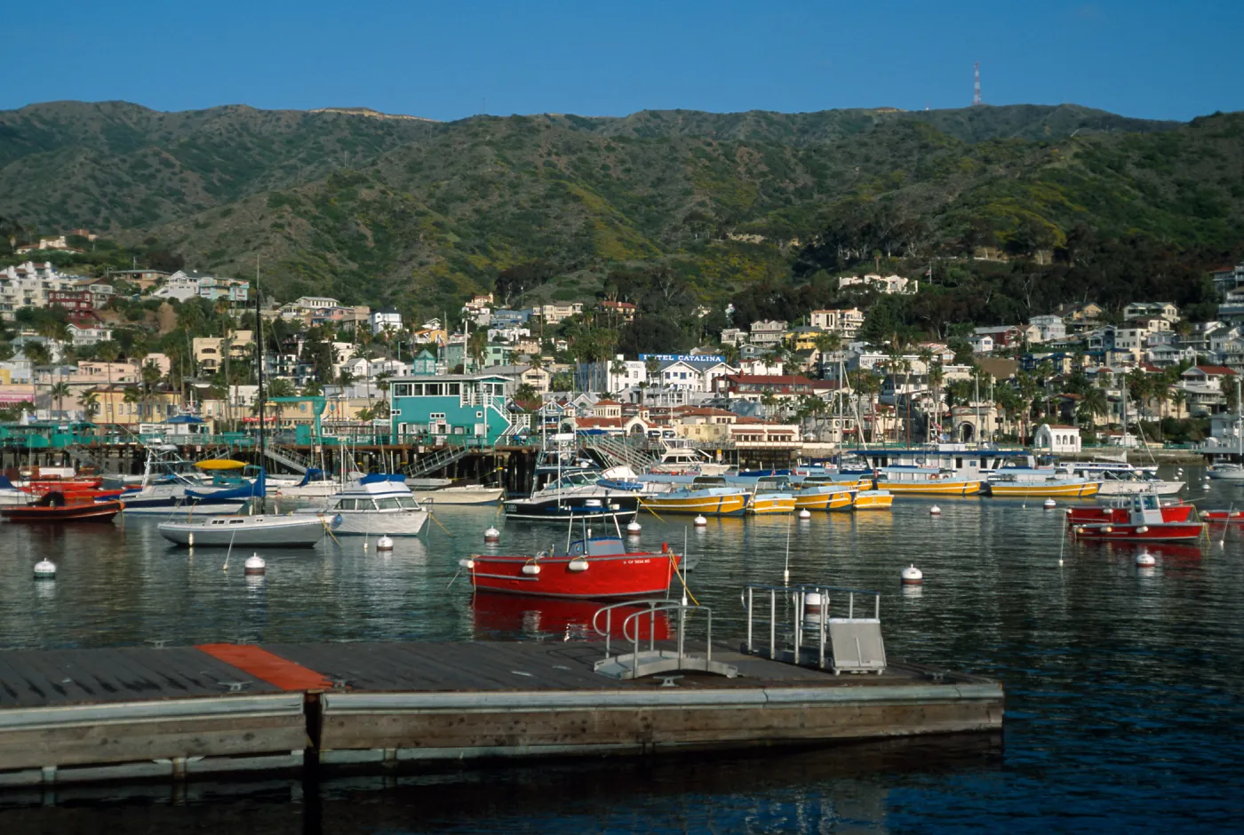 Avalon Harbor, Catalina Island