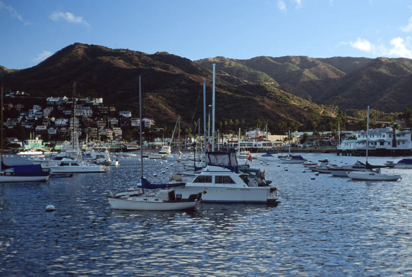 Avalon Harbor, Catalina Island