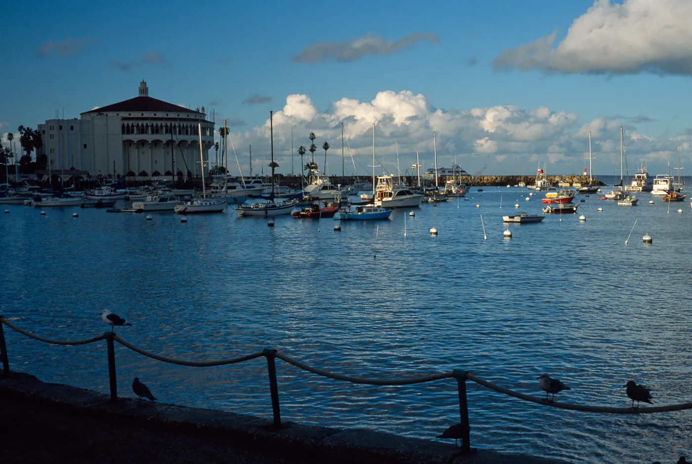 Avalon Harbor & casino, Catalina Island