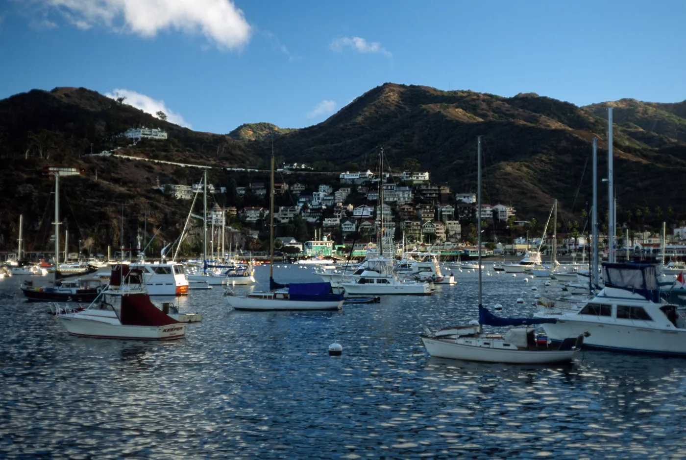 Avalon Harbor, Catalina Island