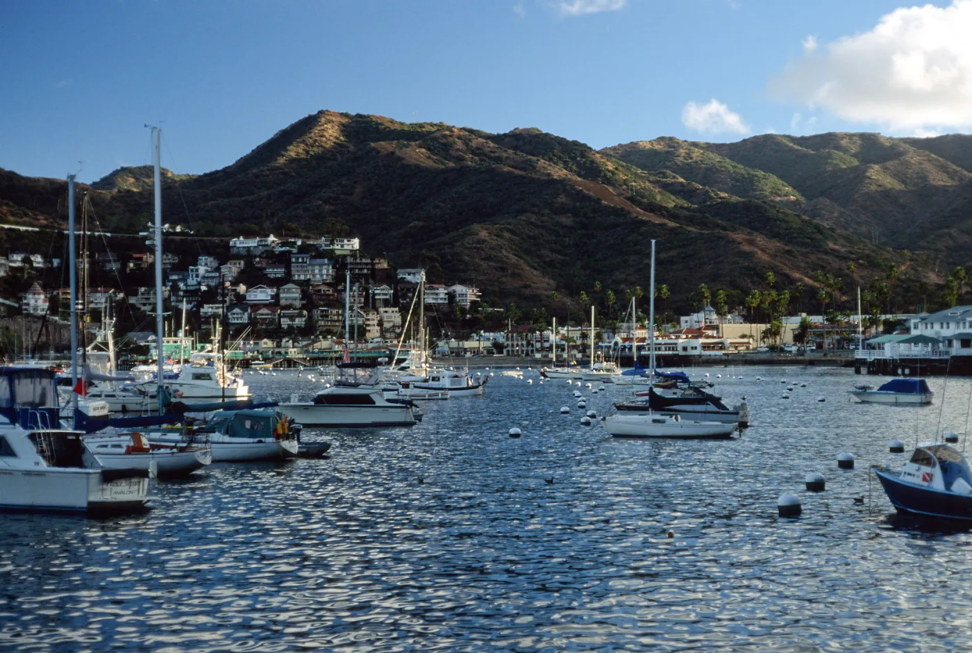 Avalon Harbor, Catalina Island